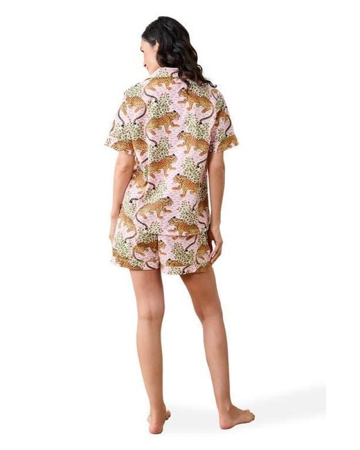 Printfresh Natural Short Pj Set