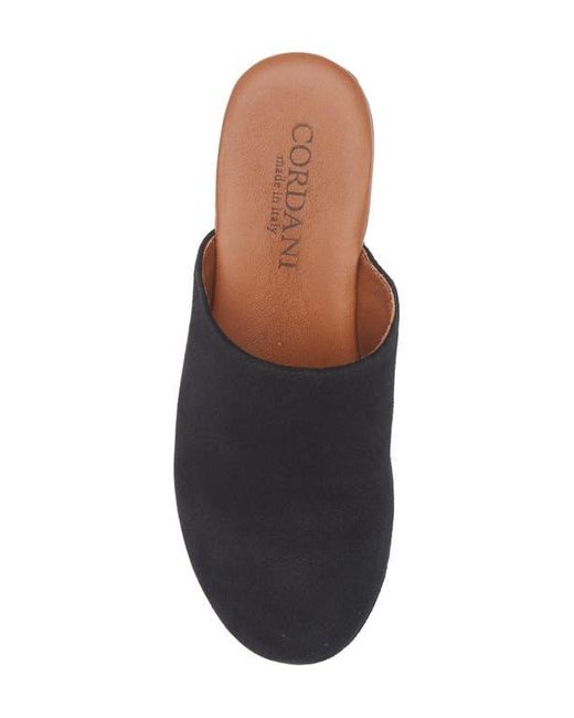 Cordani Brown Wanda Clog