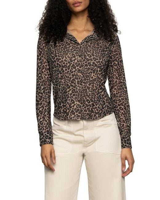 Sanctuary Black Mesh Button-Down Shirt