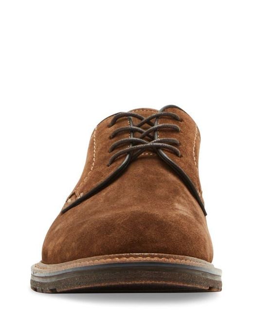 Steve Madden Brown Aeden Derby for men