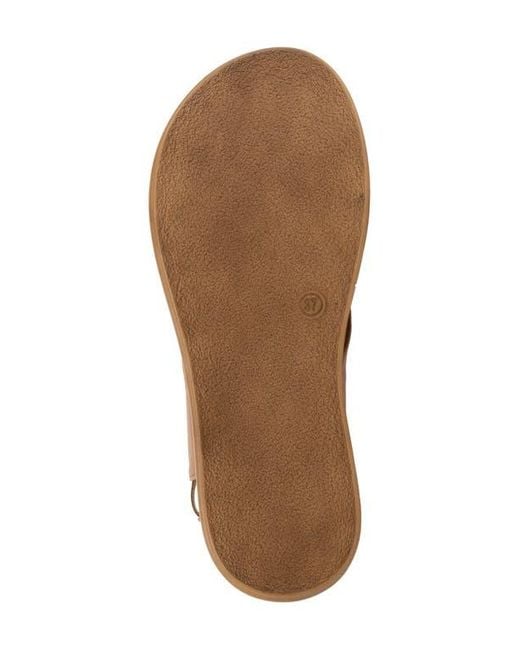 BUENO Brown Jayden Sandal