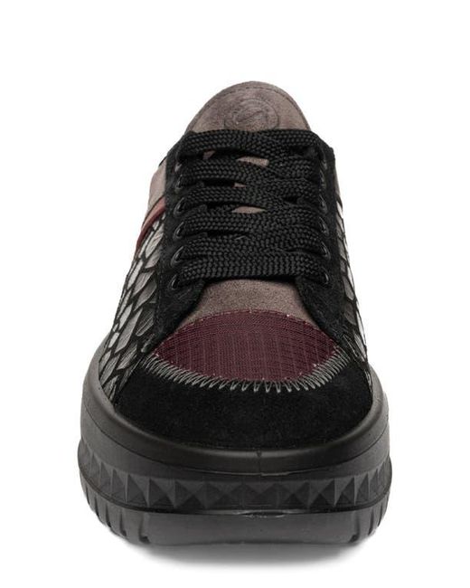 Ara Black Mamba Platform Sneaker