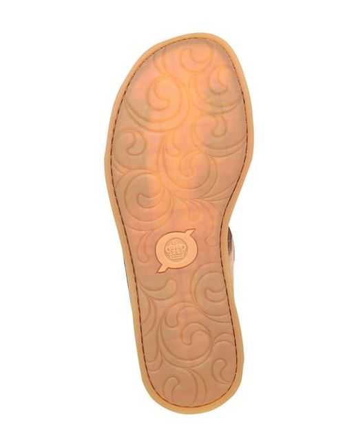 Børn Multicolor Ivey Sandal