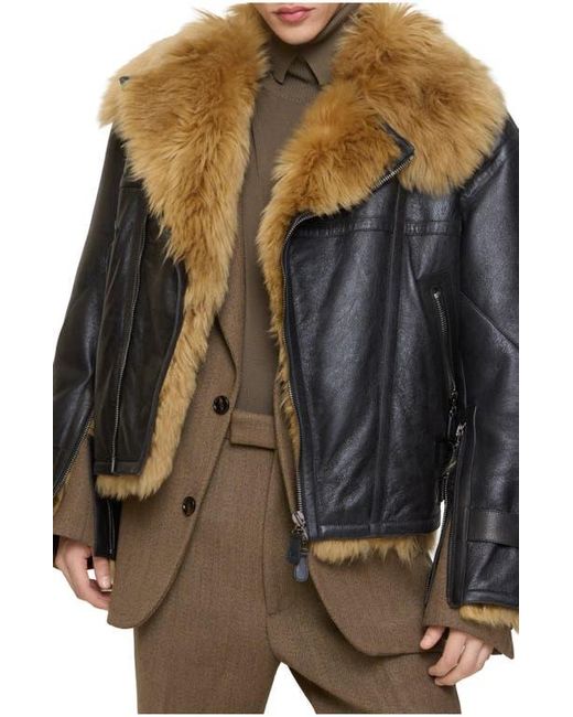 Burberry Black Cropped Shearling Aviator Jacket for men