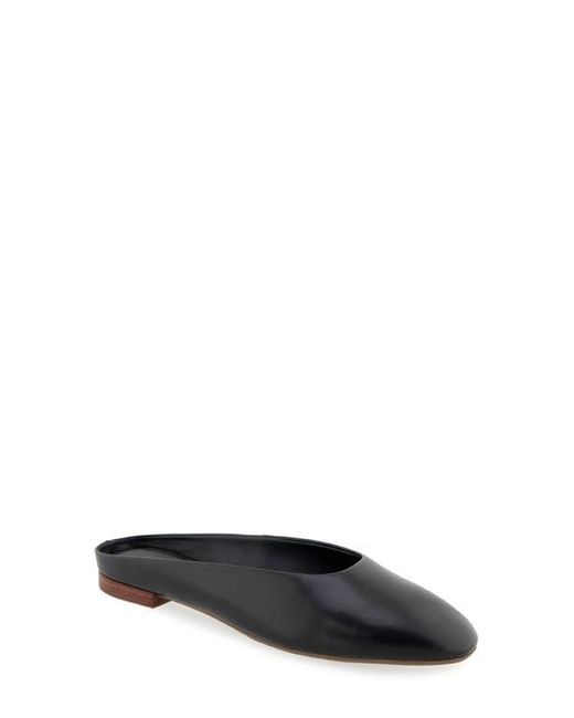 Aerosoles Black Amara Mule
