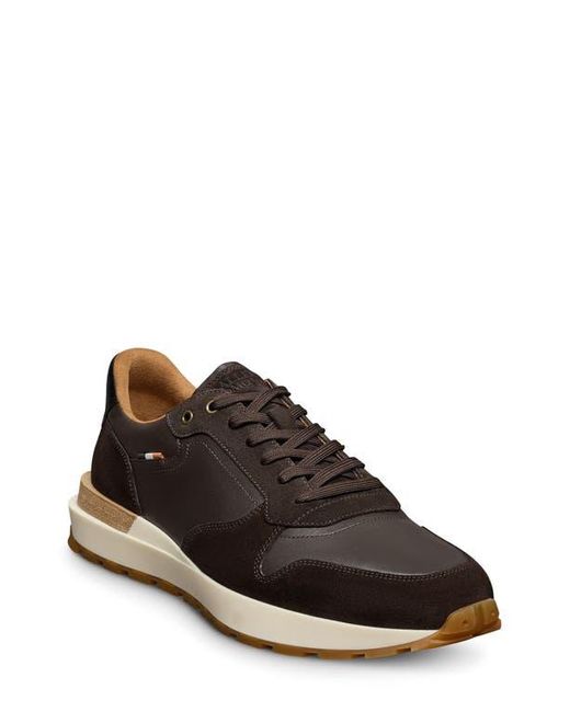 Allen Edmonds Brown Lionel Low Top Sneaker for men