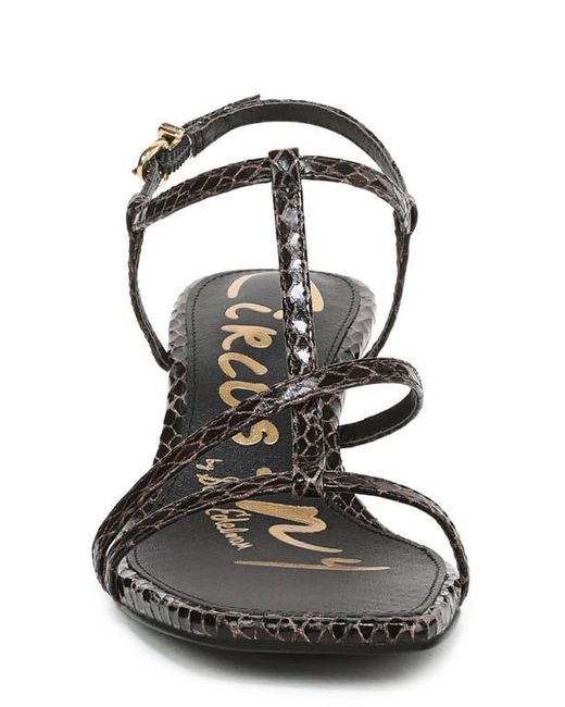 Circus by Sam Edelman Black Jaida Snakeskin Embossed Strappy Sandal