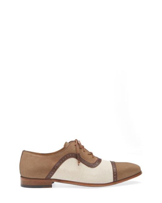Mezlan Brown Ayna Plain Toe Oxford for men