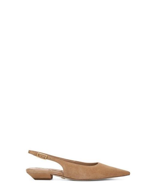 Sam Edelman Brown Netty Slingback Pointed Toe Flat