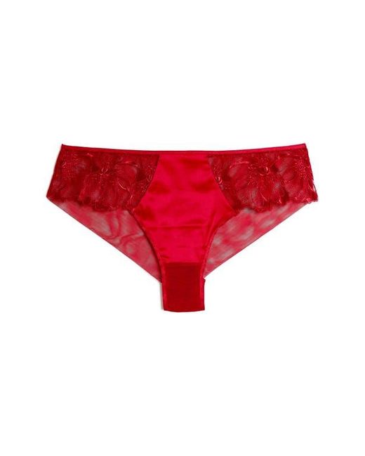 Etam Red Amaryllis Lace & Satin Hipster Panties