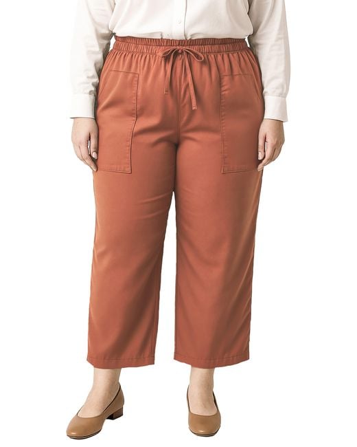 Standards & Practices Multicolor Crop Pants