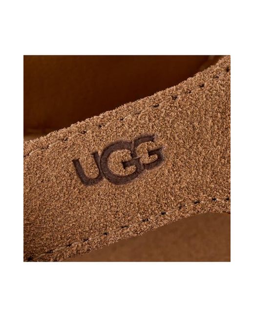 Ugg Brown Goldengaze Toe Post Suede Sandal