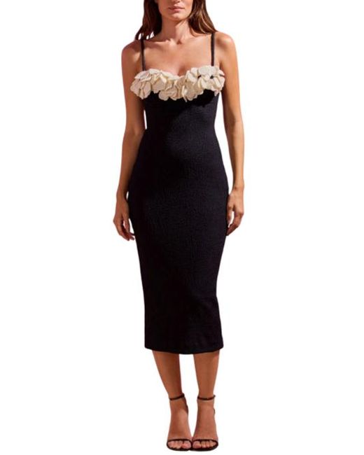 PATBO Women's Black Breeze Jacquard Colorblock Midi Dress