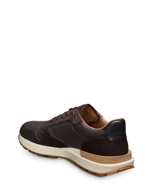 Allen Edmonds Brown Lionel Low Top Sneaker for men