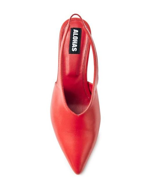 Alohas Pink Eros Slingback Pointed Toe Kitten Heel Pump