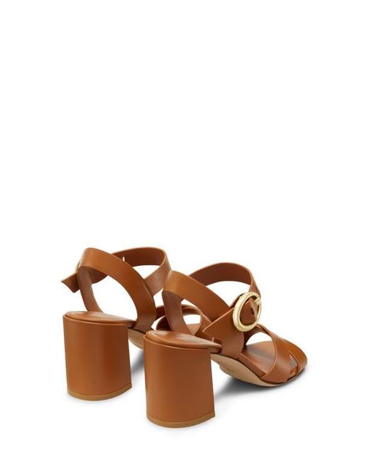 Stuart Weitzman Brown Benni Ankle Strap Sandal