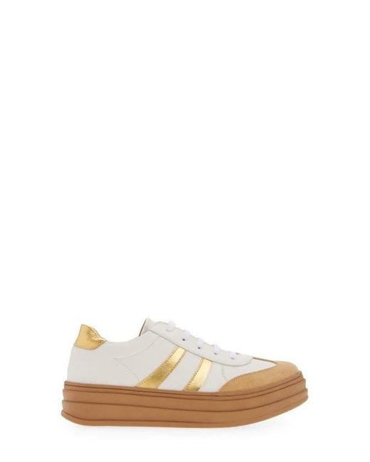 Chocolat Blu White Valox Sneaker