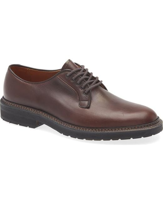 Alden Brown Plain Toe Blucher Derby for men