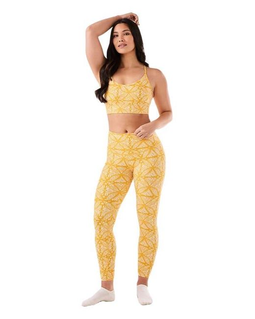 Tavi Orange Boost Bra