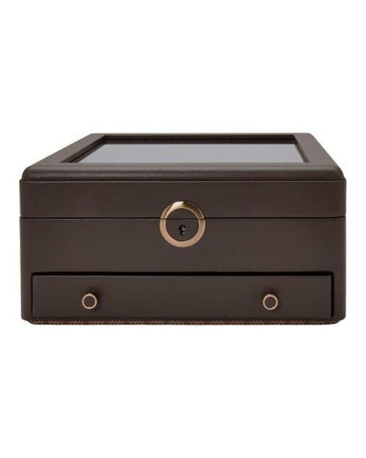 Wolf Black Earth Watch Stand Box for men