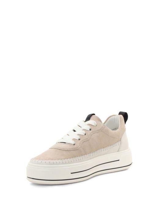 Ara White Corsica Platform Sneaker