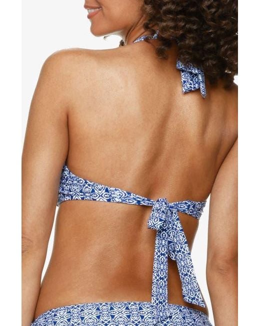 Helen Jon Blue Tortoise Halter