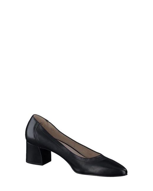 Paul Green Blue Yvette Pointed Toe Pump
