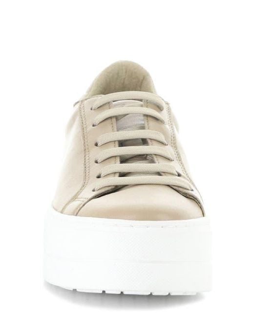 Bos. & Co. White Maya Platform Sneaker