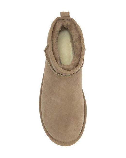 Ugg Brown Ultra Mini Classic Boot