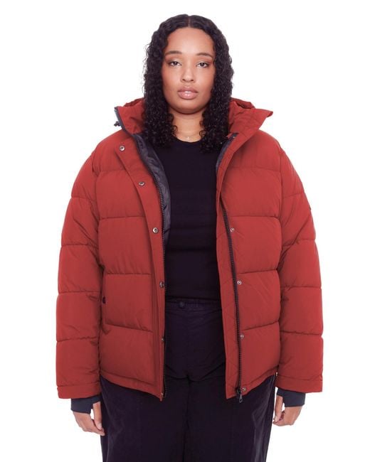 Alpine North Red Forillon Plus Size