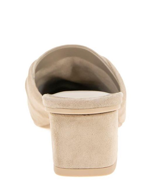 Splendid Natural Lanis Block Heel Mule