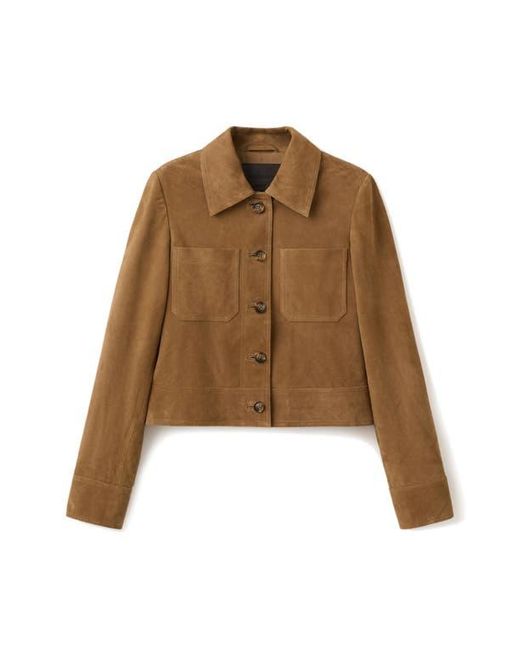 Mango Brown Suede Jacket