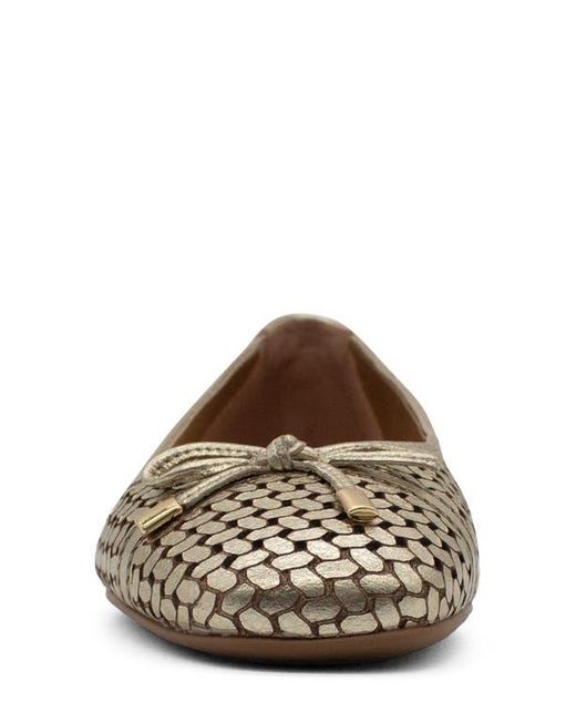 BOTTER Brown Botsamya Ballet Flat