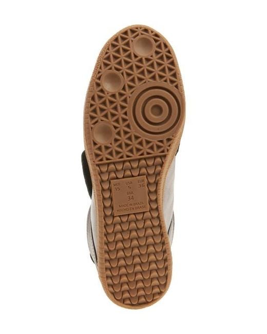 Chocolat Blu Multicolor Vice Studded Sneaker