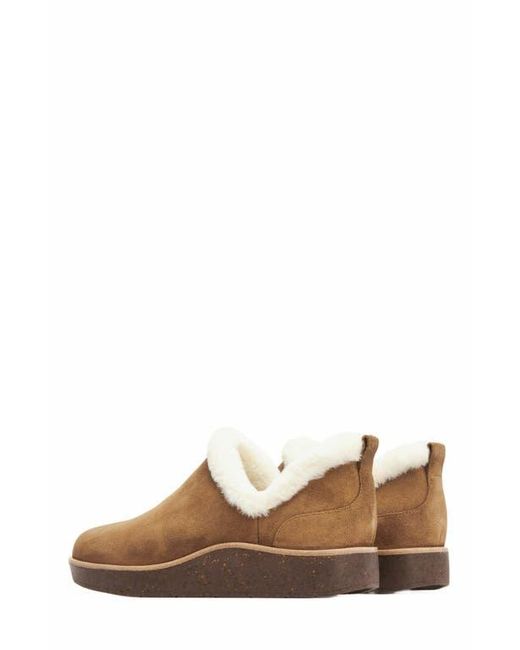 ABEO Brown Pioneer Bootie