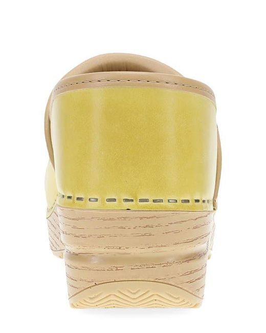 Dansko Multicolor Professional Clog