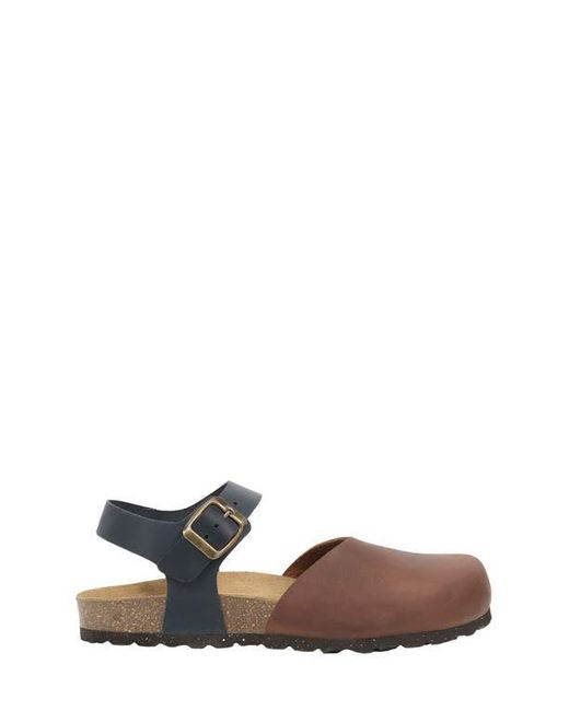 Celtic & Co. Multicolor Closed Toe Sandal
