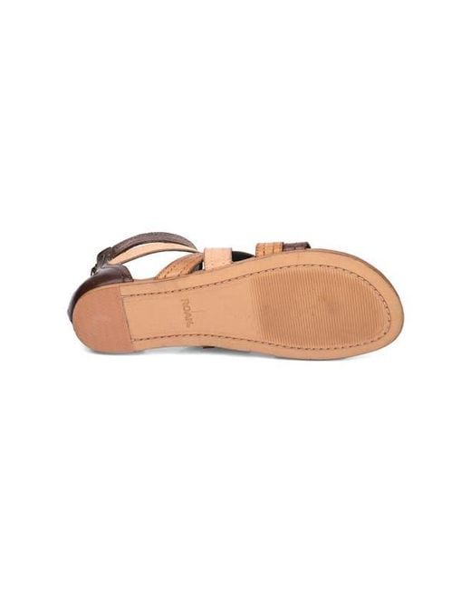 Roan Multicolor Royalty Sandal
