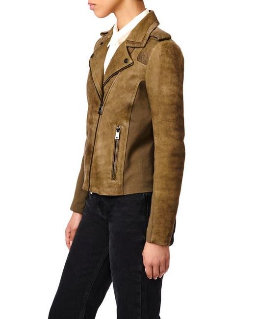 Bernardo Brown Suede Moto Jacket