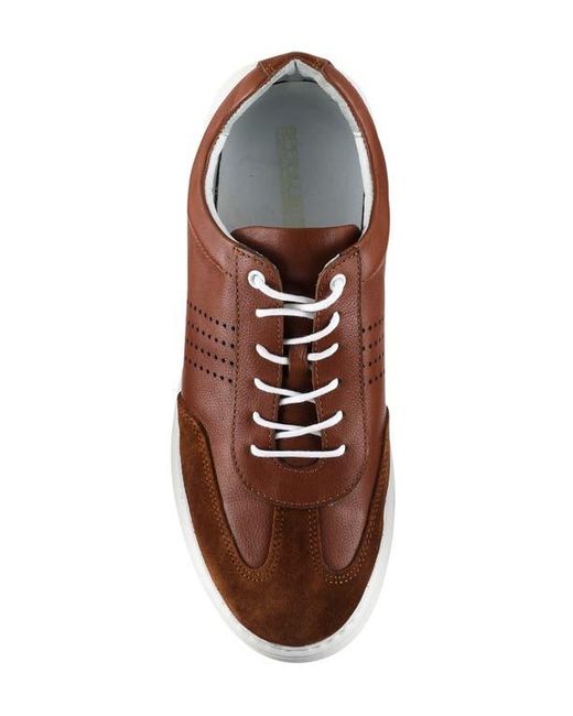 Spring Step Brown Trenton Sneaker for men