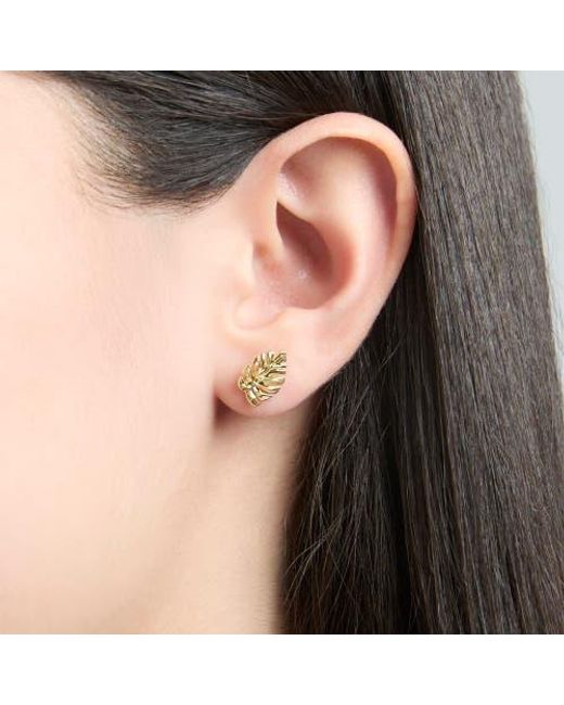 Disney Metallic Jewelry Set With-Tone Fashion Necklace And Palm Leaf Stud Earrings