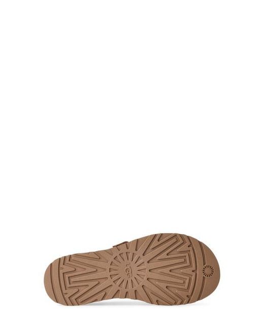 Ugg Brown Goldengaze Toe Post Suede Sandal