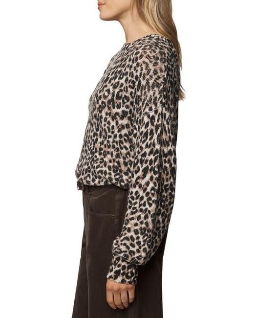 Splendid Black Delaney Leopard Print Crewneck Sweater