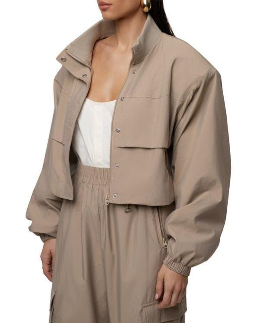 JLUXLABEL Brown Endure Jacket