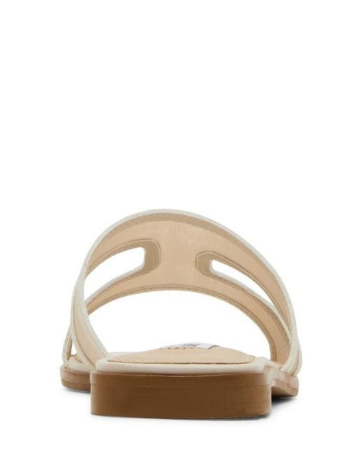Steve Madden Multicolor Hazel Slide Sandal