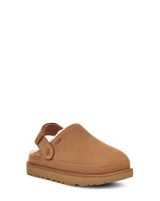 Ugg Brown Goldenstar Cozy Clog