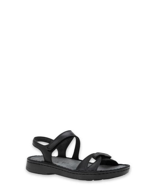 Naot Black Evora Sandal