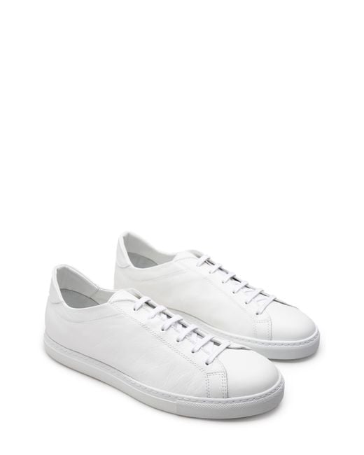 Morjas White The Sneaker 02 for men