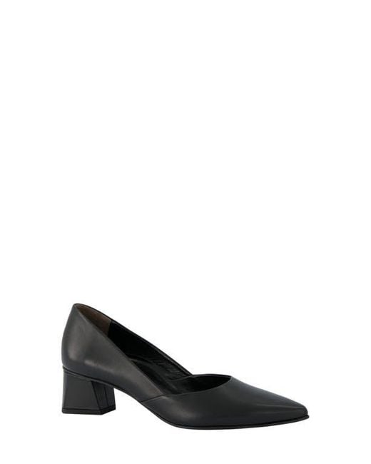 Paul Green Black Witt Pointed Toe Pump