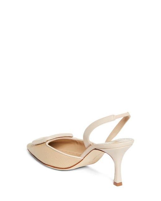 Manolo Blahnik Natural Mayslibi Slingback Pump